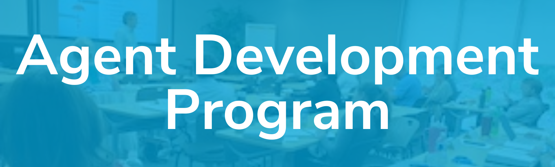 Agent-development-program