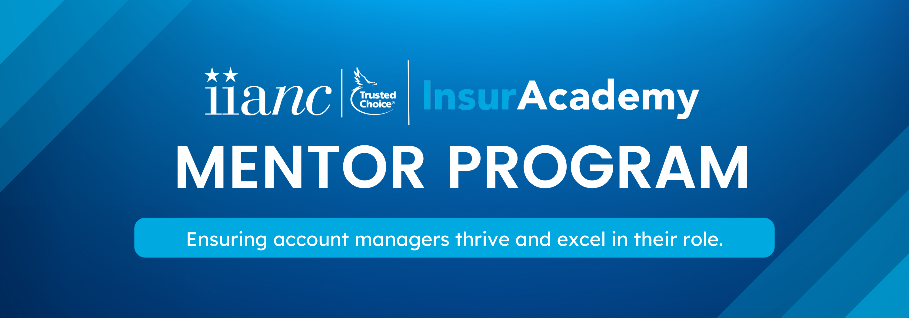MENTORPROGRAM2